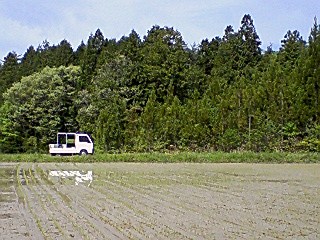 田植え終了。